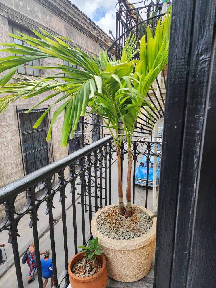 Casa Compostela